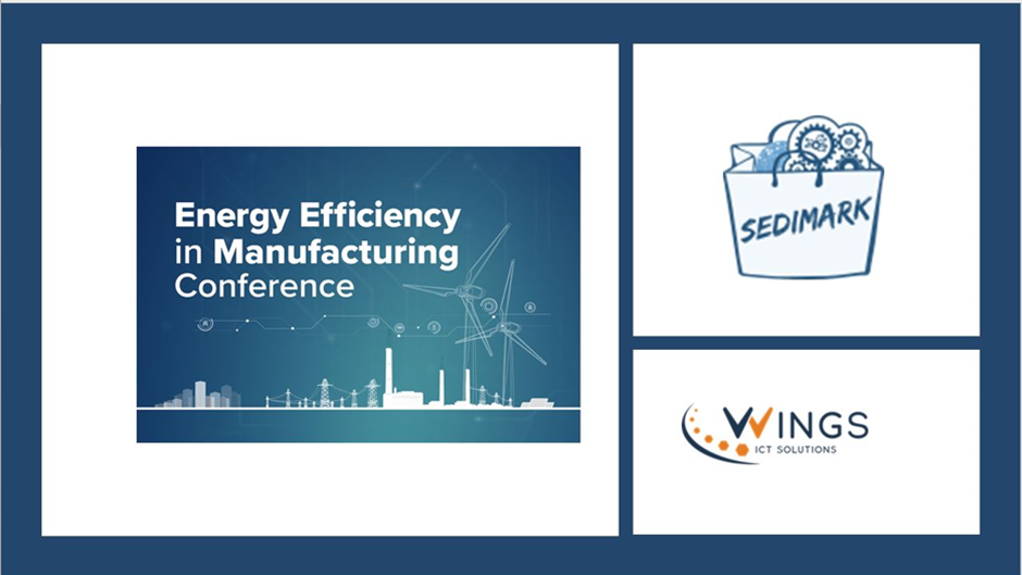 WINGS Energy Efficiency Conference